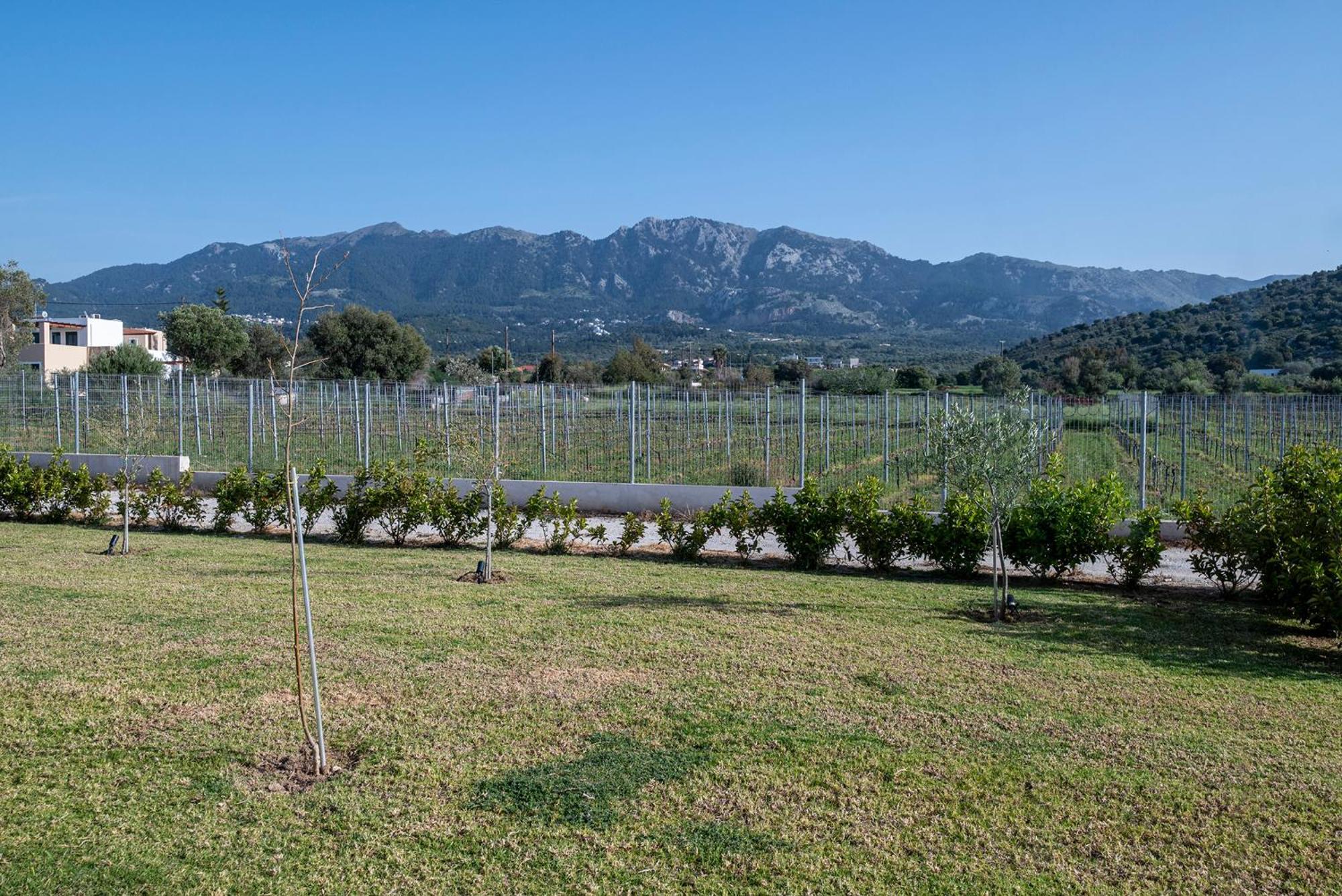 Olive Tree Garden Villa Linopotis Exterior foto