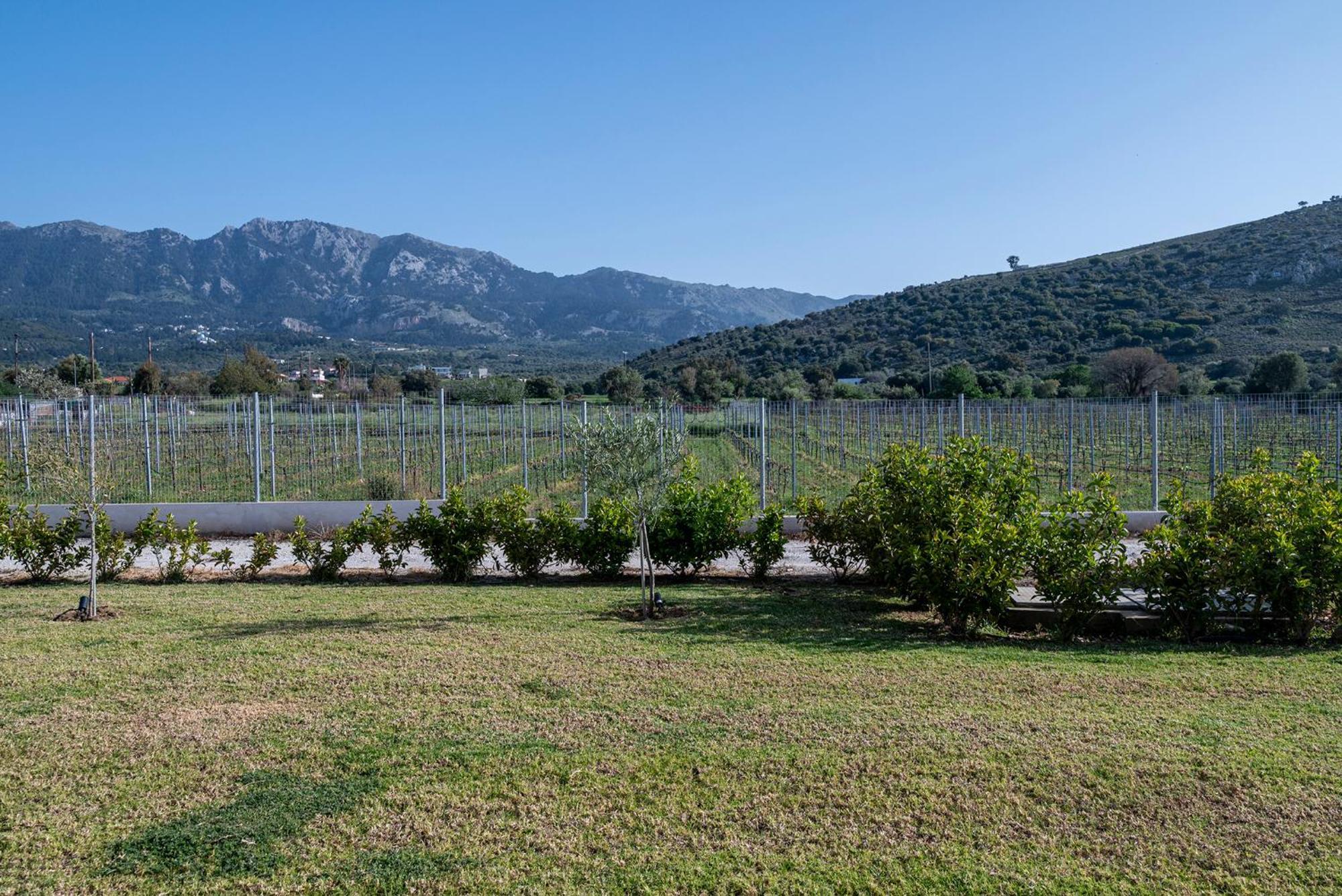 Olive Tree Garden Villa Linopotis Exterior foto